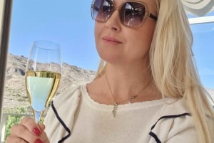 Gran Canaria: Spanish Tapas and Wine Tasting Tour in Mogan