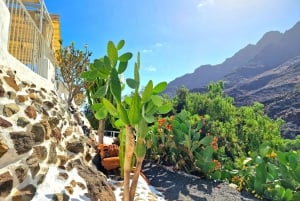 Gran Canaria: Spanish Tapas and Wine Tasting Tour in Mogan
