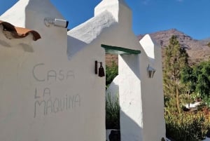 Gran Canaria: Spanish Tapas and Wine Tasting Tour in Mogan