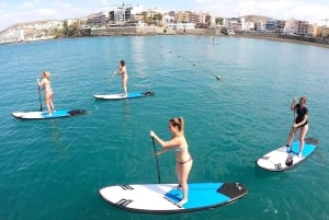 Gran Canaria : Paddle board experience. 2 horas. Hotel Pick Up incluido.