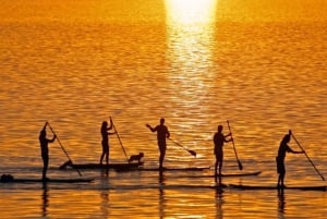 Gran Canaria: Stand-Up Paddle Lesson & Snorkeling Tour