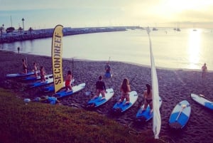 Gran Canaria : Curso de Stand Up Paddle (SUP), Arguineguín. 2 horas.