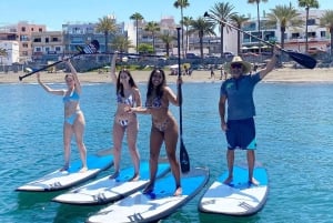 Gran Canaria : Curso de Stand Up Paddle (SUP), Arguineguín. 2 horas.