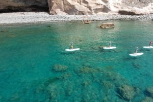 Gran Canaria : Stand Up Paddle (SUP) Tour