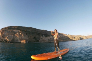 Gran Canaria : Stand Up Paddle (SUP) Tour