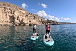 Gran Canaria : Stand Up Paddle (SUP) Tour
