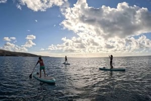 Gran Canaria : Stand Up Paddle (SUP) Tour