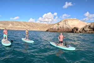 Gran Canaria : Stand Up Paddle (SUP) Tour