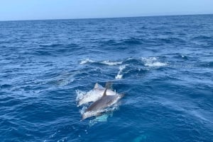 Gran Canaria Sunset Sailing Experience