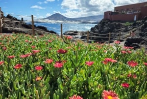 Gran Canaria Sunset & Wild Coast Tour, acantilados, piscinas naturales