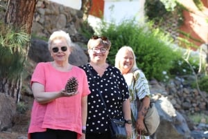 Gran Canaria: Tasting wine & local cheese in Mogan