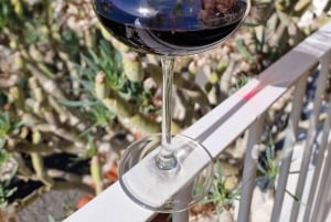 Gran Canaria: Tasting wine & local cheese in Mogan