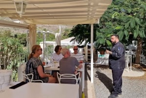 Gran Canaria: Tasting wine & local cheese in Mogan