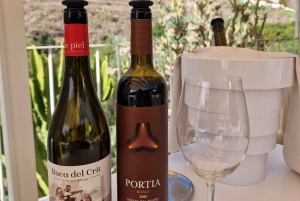 Gran Canaria: Tasting wine & local cheese in Mogan