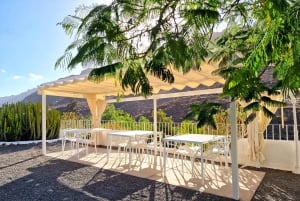 Gran Canaria: Tasting wine & local cheese in Mogan