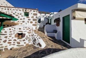 Gran Canaria: Tasting wine & local cheese in Mogan