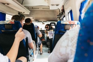 Gran Canaria: The Red Canyon Tour with Local Food Tasting