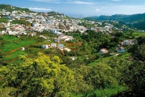 Gran Canaria Tour: Past and Present