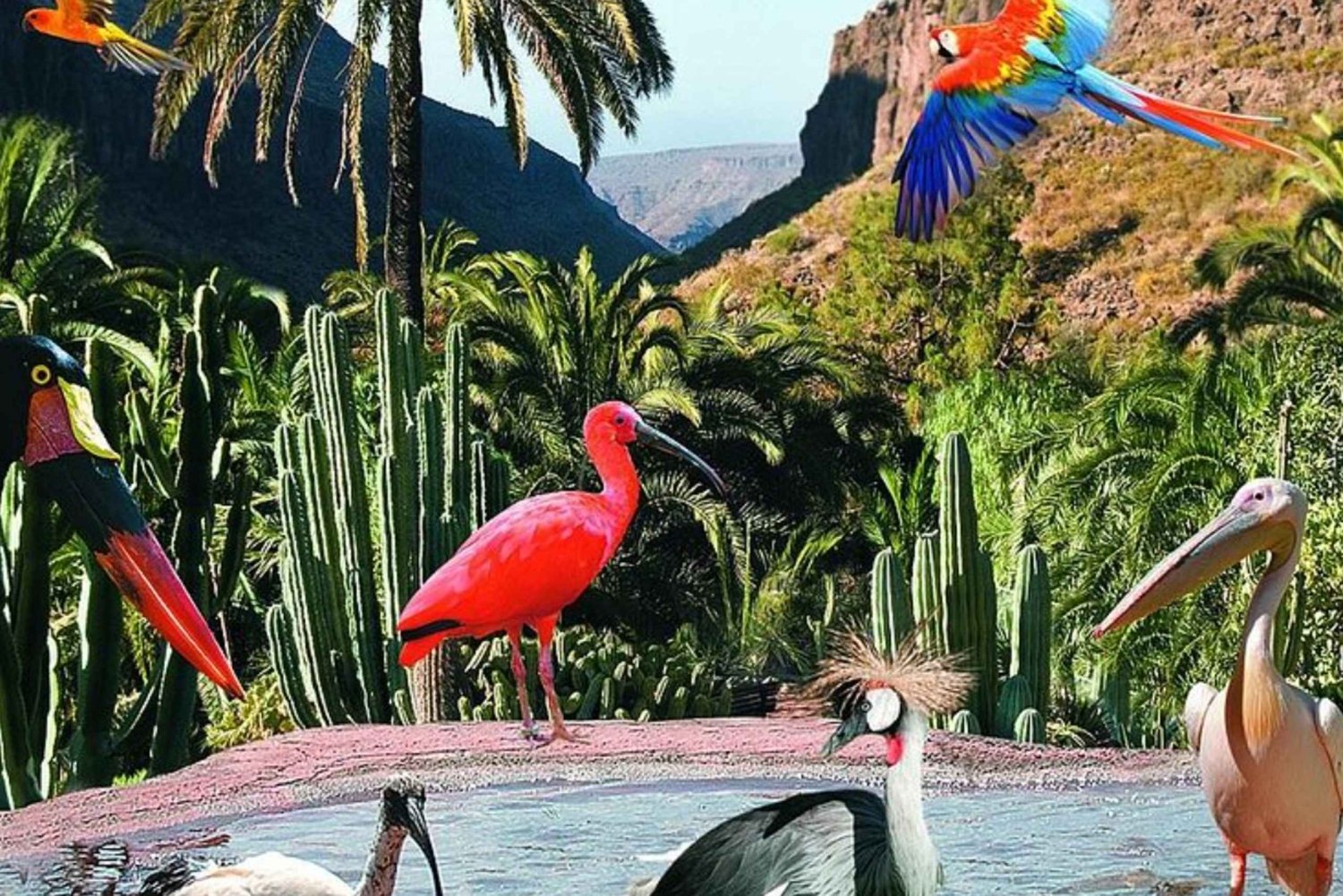 Gran Canaria: Tour to Palmitos Park and Camel Park Fataga