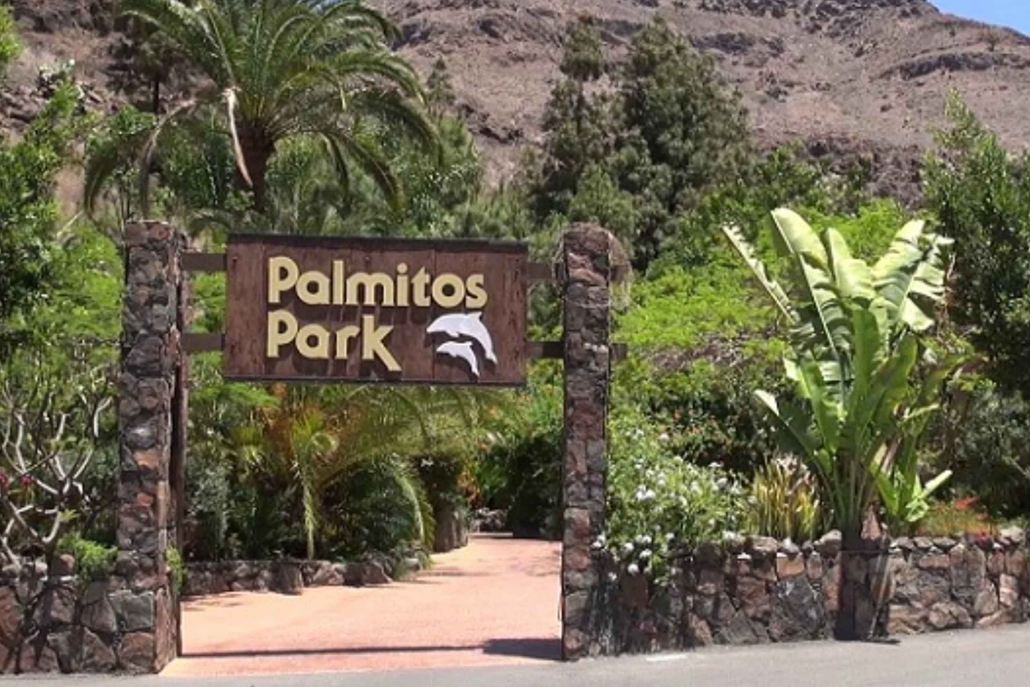 Gran Canaria: Tour to Palmitos Park and Camel Park Fataga