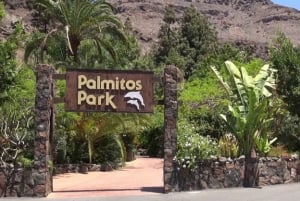 Gran Canaria: Tour al Palmitos Park y Camel Park Fataga