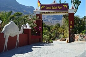 Gran Canaria: Tour al Palmitos Park y Camel Park Fataga