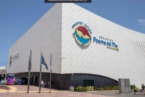 Gran Canaria: Tour to Poema del Mar and Port of Las Palmas