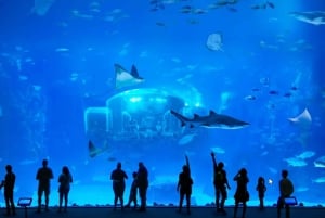 Gran Canaria: Tour to Poema del Mar and Port of Las Palmas