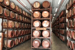 Gran Canaria: Tour to the Rum Factory and the Cathedral of Arucas