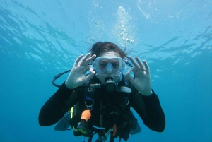 Gran Canaria: Try Scuba Diving for Beginners
