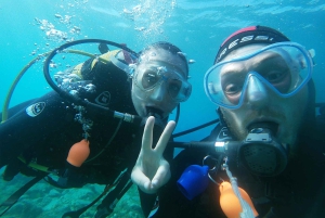 Gran Canaria: Try Scuba Diving for Beginners
