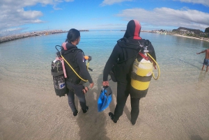 Gran Canaria: Try Scuba Diving for Beginners