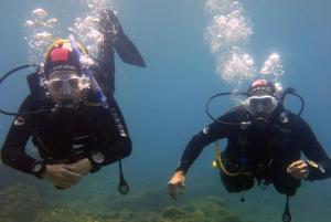 Gran Canaria: Try Scuba Diving for Beginners
