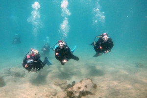 Gran Canaria: Try Scuba Diving for Beginners