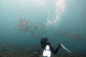 Gran Canaria: Try Scuba Diving for Beginners