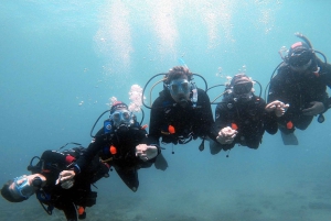 Gran Canaria: Try Scuba Diving for Beginners