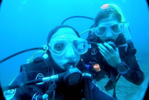 Gran Canaria: Try Scuba Diving for Beginners
