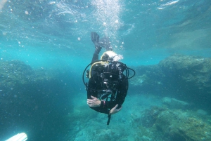 Gran Canaria: Try Scuba Diving for Beginners