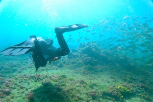 Gran Canaria: Try Scuba Diving for Beginners