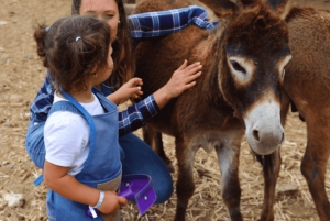 Gran Canaria: Visit our cheese factory in Agüimes