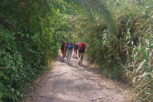 Bienvenido a Gran Canaria: Tour privado de exploración y guía local