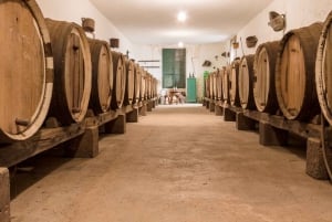 Gran Canaria: Winery Tour, Wine Museum, and Tasting