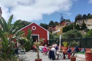 Gran Canaria: Winery Tour, Wine Museum, and Tasting