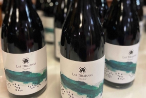 Gran Canaria wines journey