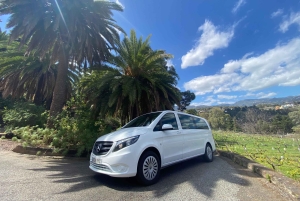 Gran Canaria wines journey