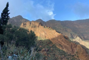 Gran Canaria wines journey