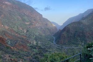 Gran Canaria wines journey