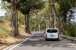 Guayadeque Ravine and the High Peaks of Gran Canaria