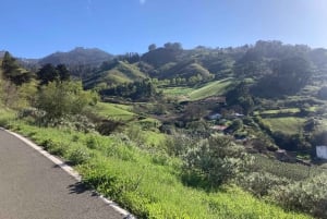 Guided Bike & E-Bike Tour through the Northern Gran Canaria