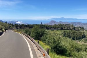 Guided Bike & E-Bike Tour through the Northern Gran Canaria